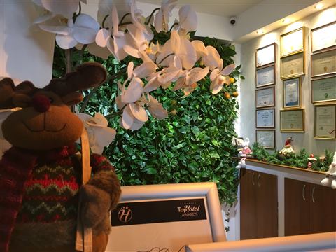 Grădină verticală cu plante naturale – Hotel Drăgului, foto 3 din 10